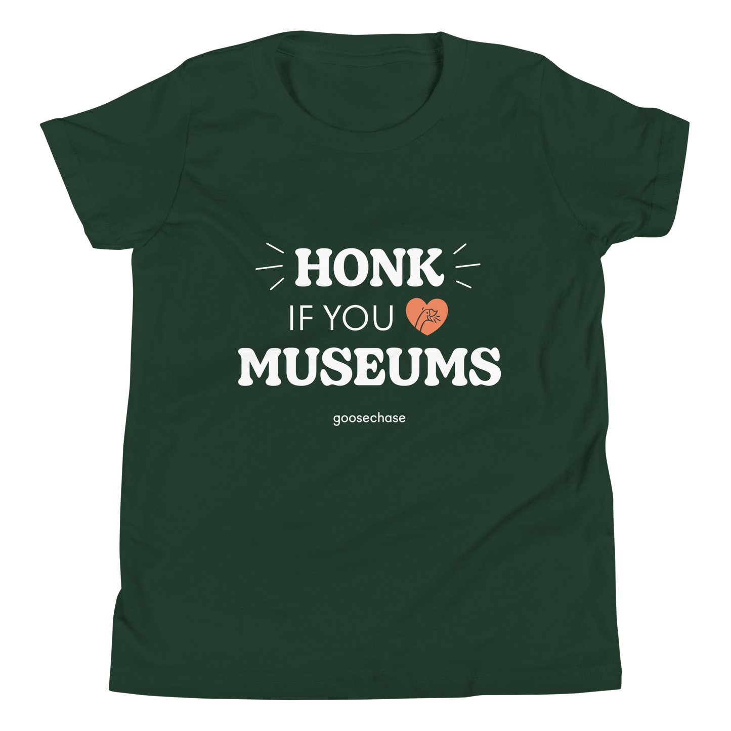 Honk if You Love Museums Youth T-Shirt - Green or Blue