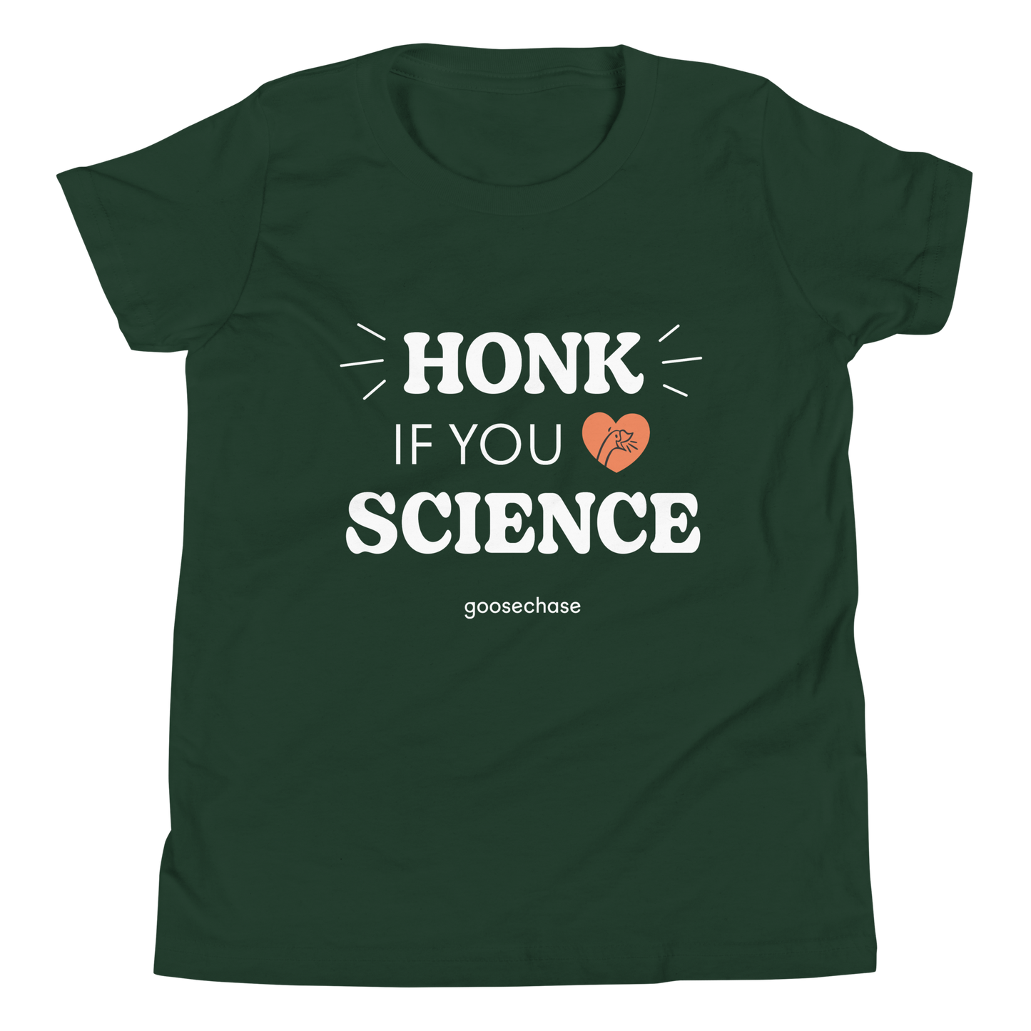 Honk if You Love Science Youth T-Shirt - Green or Blue