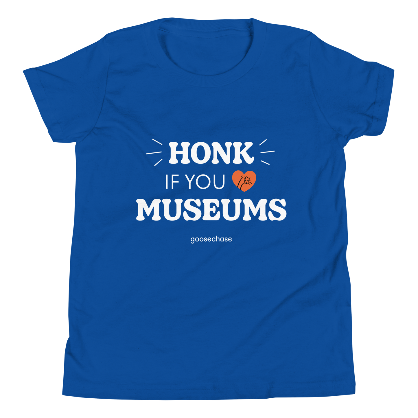 Honk if You Love Museums Youth T-Shirt - Green or Blue