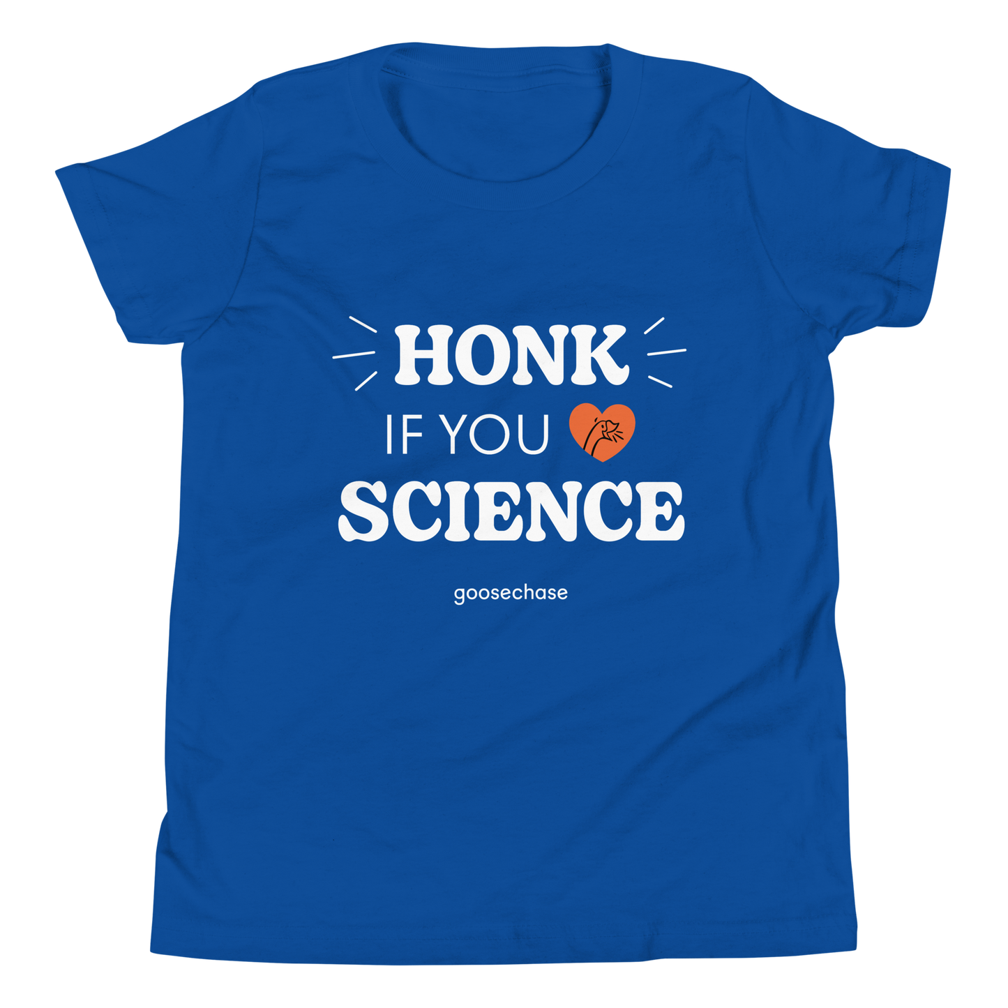 Honk if You Love Science Youth T-Shirt - Green or Blue